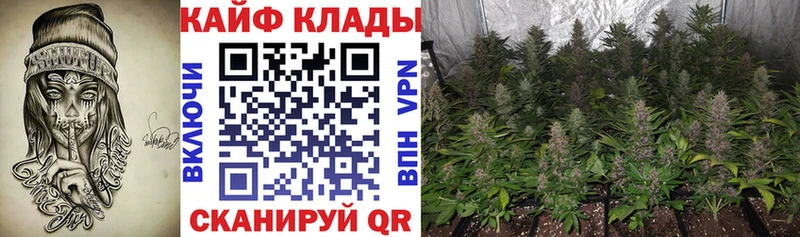 Конопля Ногинск