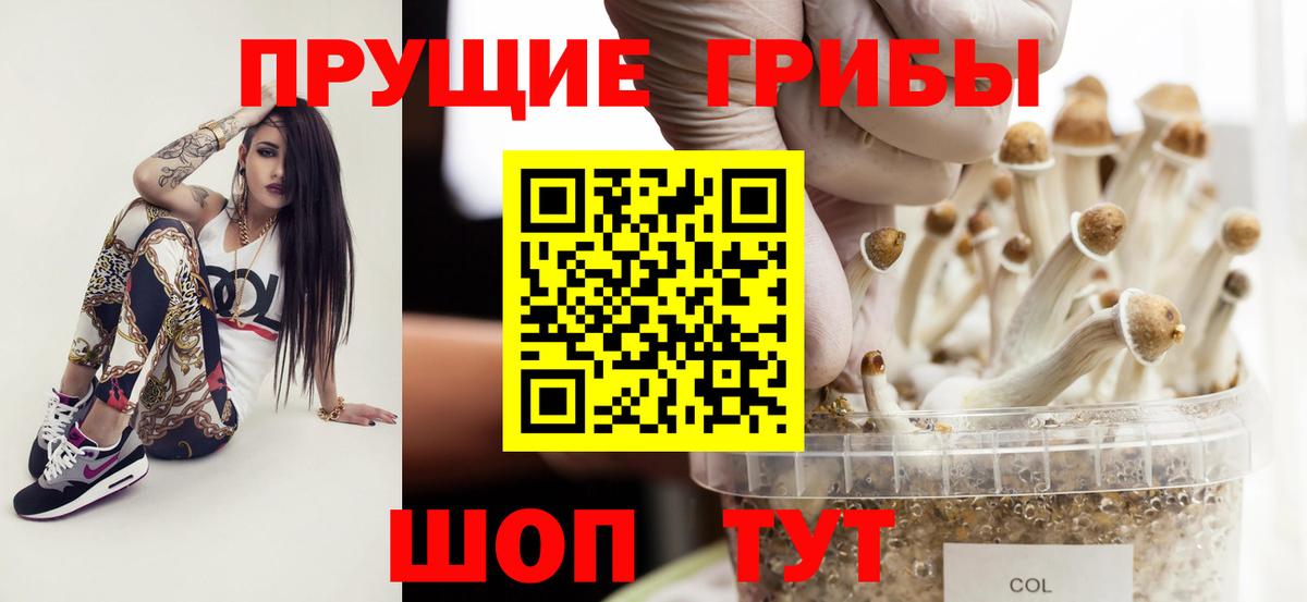 Галлюциногенные грибы мицелий Ногинск